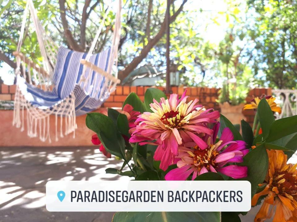 Paradisegarden Backpackers Windhoek Exteriér fotografie