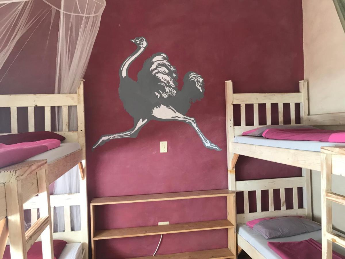 Paradisegarden Backpackers Windhoek Exteriér fotografie