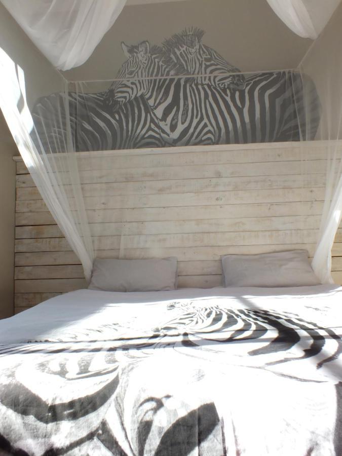 Paradisegarden Backpackers Windhoek Exteriér fotografie
