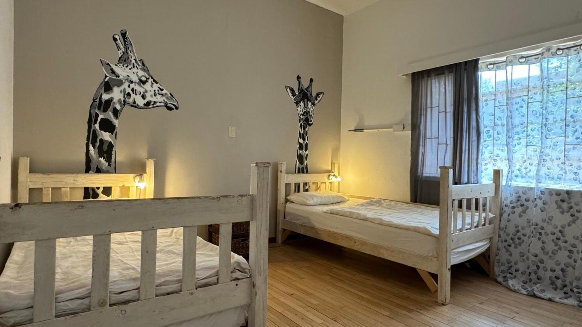 Paradisegarden Backpackers Windhoek Exteriér fotografie